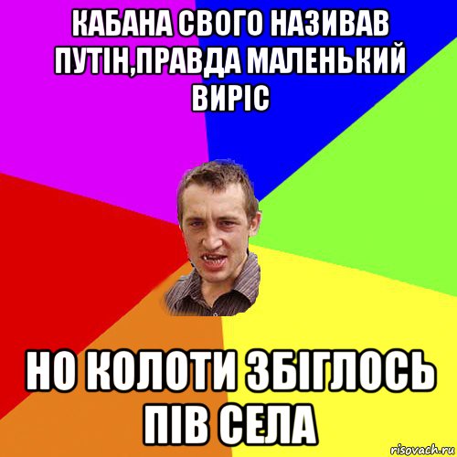 кабана свого називав путін,правда маленький виріс но колоти збіглось пів села, Мем Чоткий паца