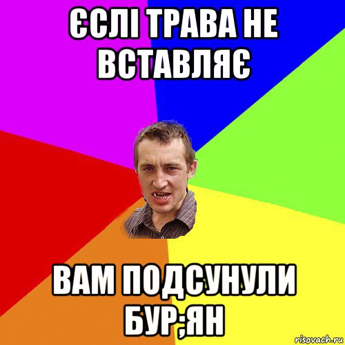 єслі трава не вставляє вам подсунули бур;ян, Мем Чоткий паца