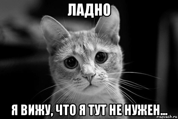 ладно я вижу, что я тут не нужен...