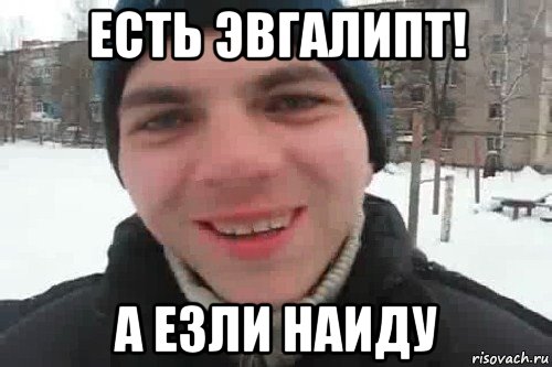 есть эвгалипт! а езли наиду, Мем Чувак это рэпчик