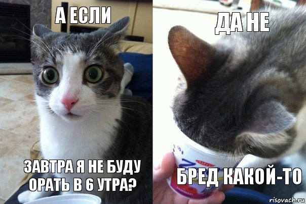 а если завтра я не буду орать в 6 утра? да не бред какой-то, Комикс  Да не бред какой-то (4 зоны)