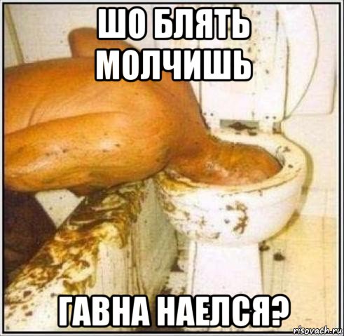 шо блять молчишь гавна наелся?, Мем Дайвер