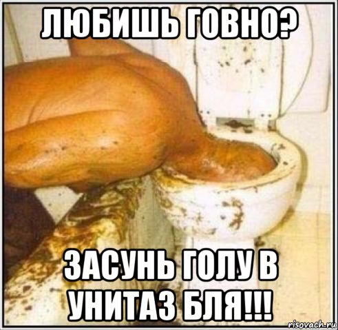 любишь говно? засунь голу в унитаз бля!!!, Мем Дайвер