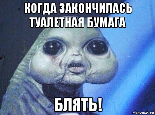 когда закончилась туалетная бумага блять!