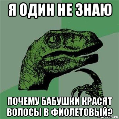 я один не знаю почему бабушки красят волосы в фиолетовый?, Мем Филосораптор