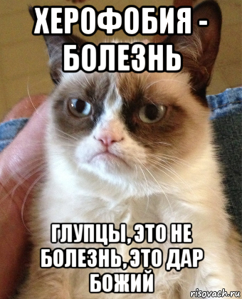 херофобия - болезнь глупцы, это не болезнь, это дар божий, Мем Grumpy Cat small