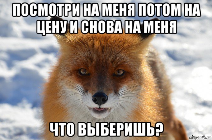 посмотри на меня потом на цену и снова на меня что выберишь?