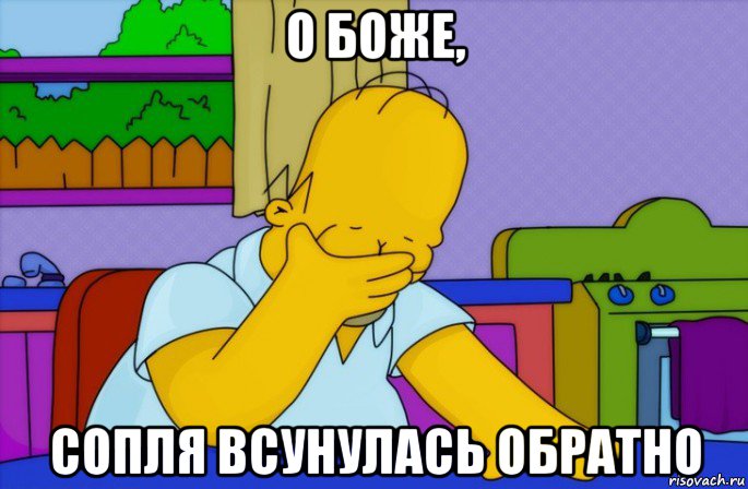 о боже, сопля всунулась обратно, Мем Homer simpson facepalm