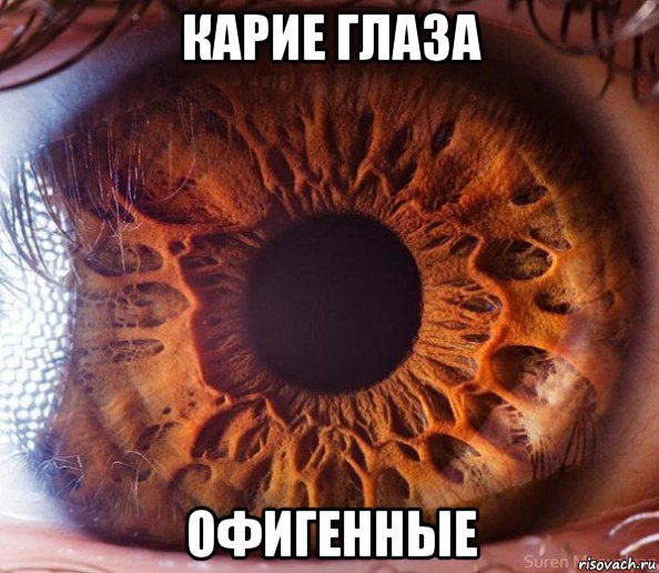 карие глаза офигенные