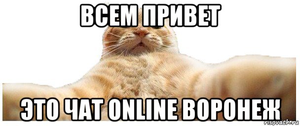 всем привет это чат online воронеж, Мем   Кэтсвилл