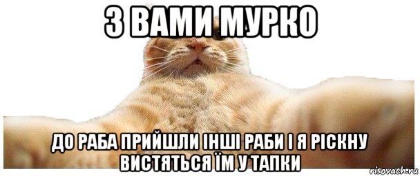 з вами мурко до раба прийшли інші раби і я ріскну вистяться їм у тапки, Мем   Кэтсвилл