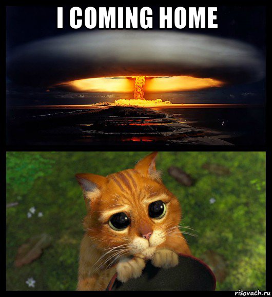 i coming home , Мем коллаж