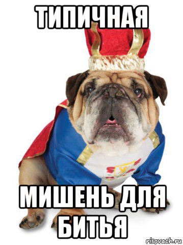 типичная мишень для битья, Мем Король Пес