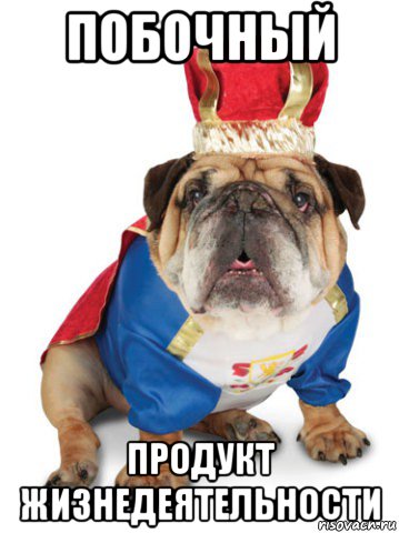 побочный продукт жизнедеятельности, Мем Король Пес