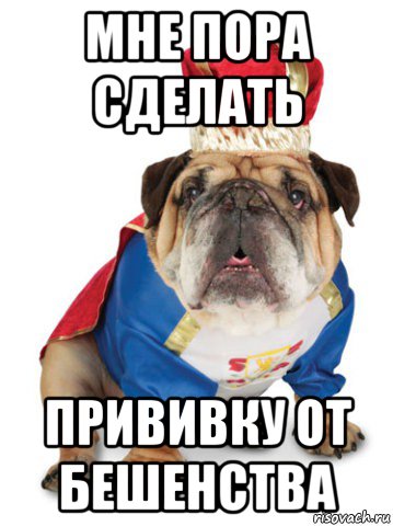 мне пора сделать прививку от бешенства