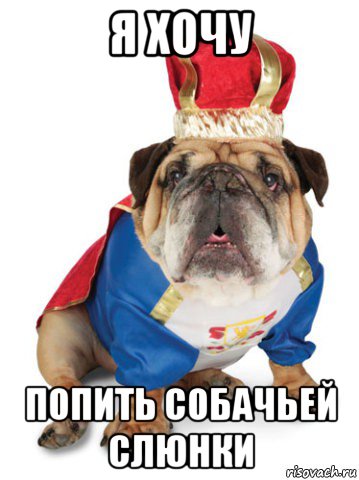я хочу попить собачьей слюнки, Мем Король Пес