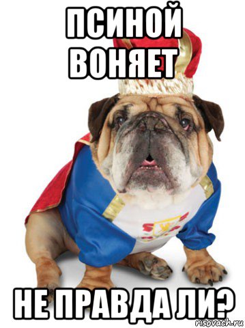 псиной воняет не правда ли?