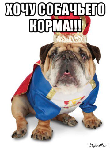 хочу собачьего корма!!! 