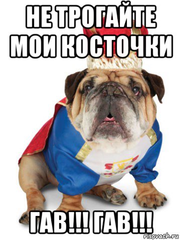 не трогайте мои косточки гав!!! гав!!!