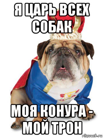 я царь всех собак моя конура - мой трон