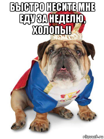 быстро несите мне еду за неделю, холопы! 