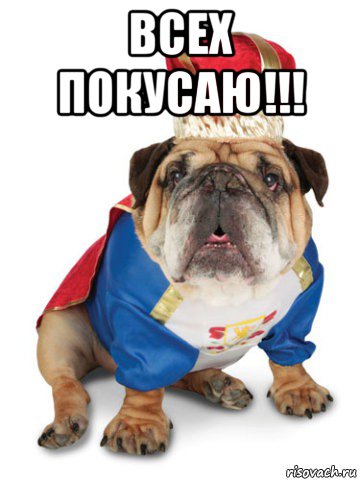 всех покусаю!!! 