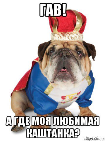 гав! а где моя любимая каштанка?