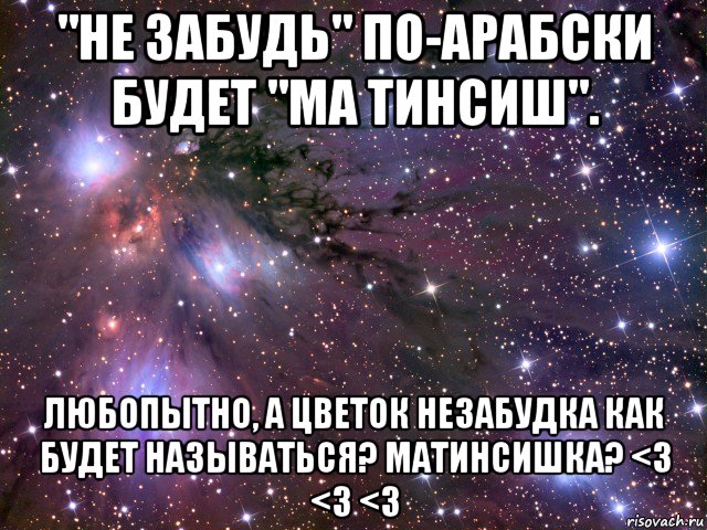 "не забудь" по-арабски будет "ма тинсиш". любопытно, а цветок незабудка как будет называться? матинсишка? <3 <3 <3, Мем Космос