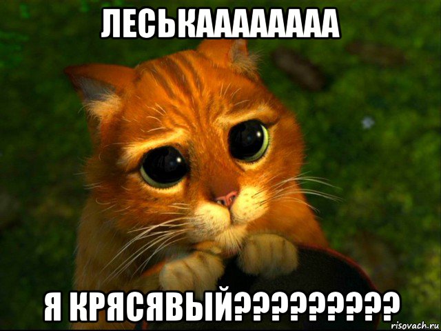 леськаааааааа я крясявый?????????, Мем кот из шрека