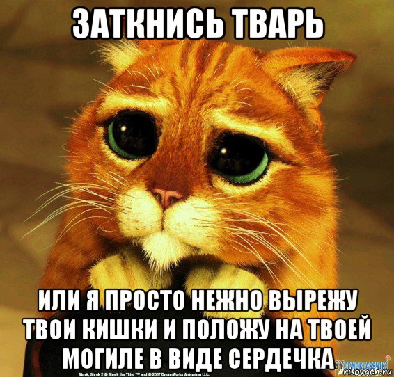 заткнись тварь или я просто нежно вырежу твои кишки и положу на твоей могиле в виде сердечка, Мем Котик из Шрека