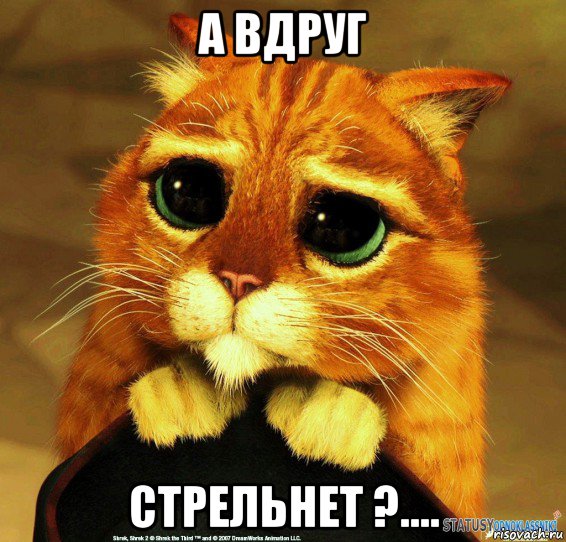 а вдруг стрельнет ?...., Мем Котик из Шрека