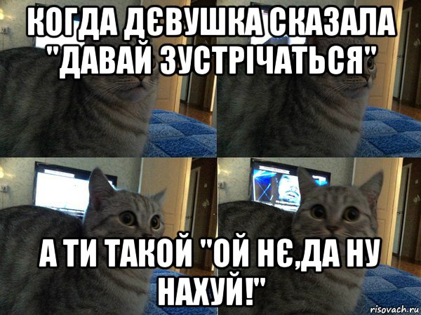 когда дєвушка сказала "давай зустрічаться" а ти такой "ой нє,да ну нахуй!", Мем  Кот в шоке