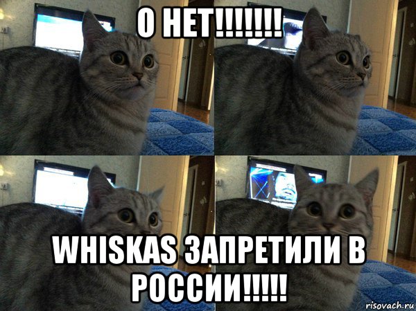 о нет!!!!!!! whiskas запретили в россии!!!!!, Мем  Кот в шоке