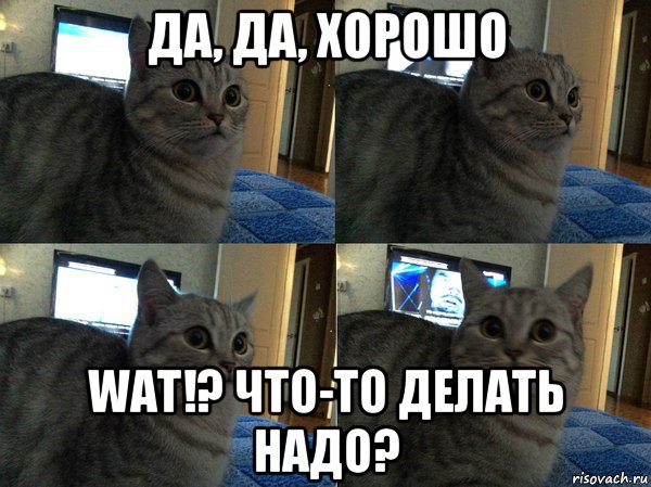 да, да, хорошо wat!? что-то делать надо?, Мем  Кот в шоке