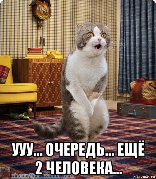  ууу... очередь... ещё 2 человека..., Мем кот