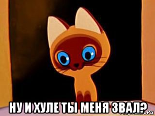  ну и хуле ты меня звал?, Мем котенок гав