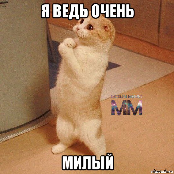 я ведь очень милый