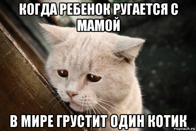 когда ребенок ругается с мамой в мире грустит один котик