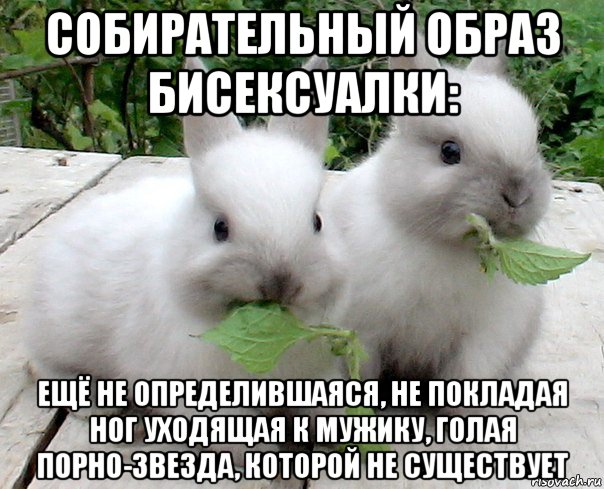 собирательный образ бисексуалки: ещё не определившаяся, не покладая ног уходящая к мужику, голая порно-звезда, которой не существует