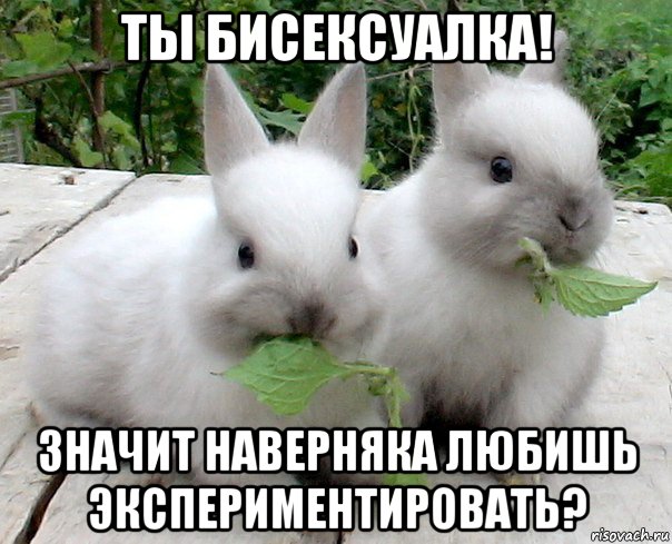 ты бисексуалка! значит наверняка любишь экспериментировать?