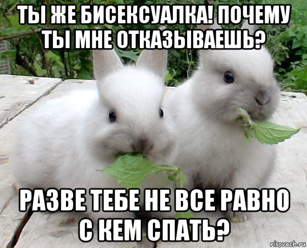 ты же бисексуалка! почему ты мне отказываешь? разве тебе не все равно с кем спать?