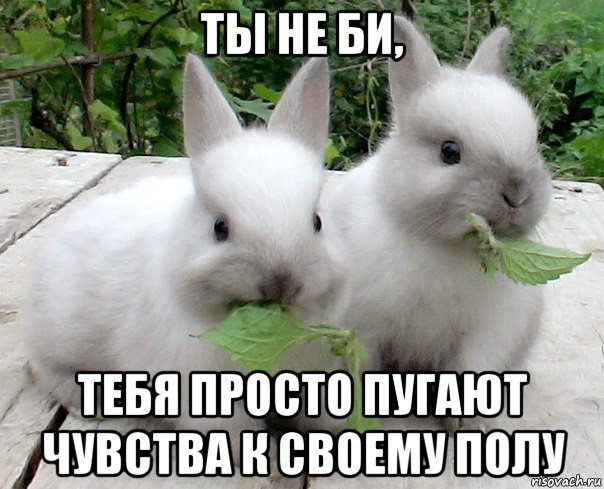 ты не би, тебя просто пугают чувства к своему полу
