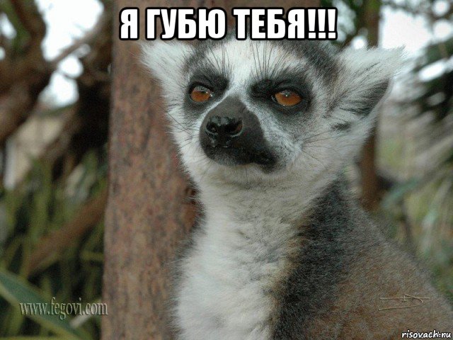 я губю тебя!!! 