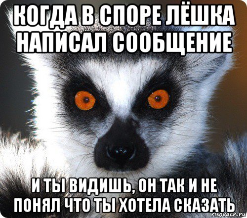 когда в споре лёшка написал сообщение и ты видишь, он так и не понял что ты хотела сказать, Мем лемур