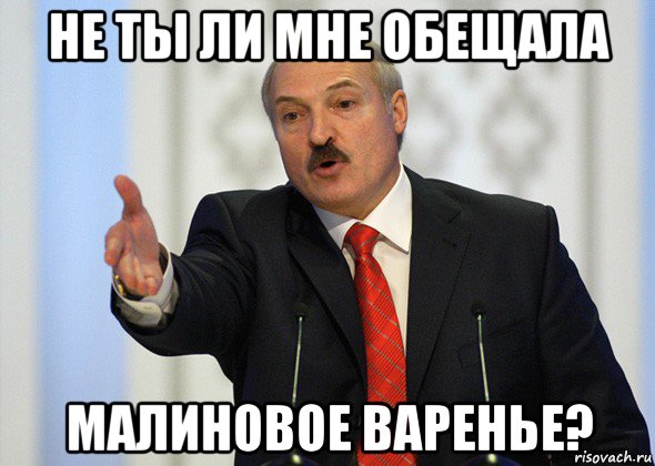 не ты ли мне обещала малиновое варенье?, Мем лукашенко