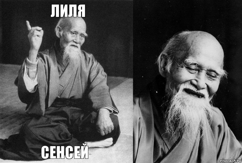 Лиля Сенсей  , Комикс Мудрец-монах (4 зоны)