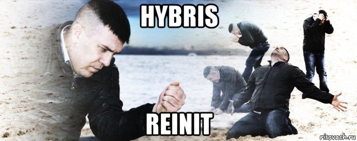 hybris reinit, Мем Мужик сыпет песок на пляже