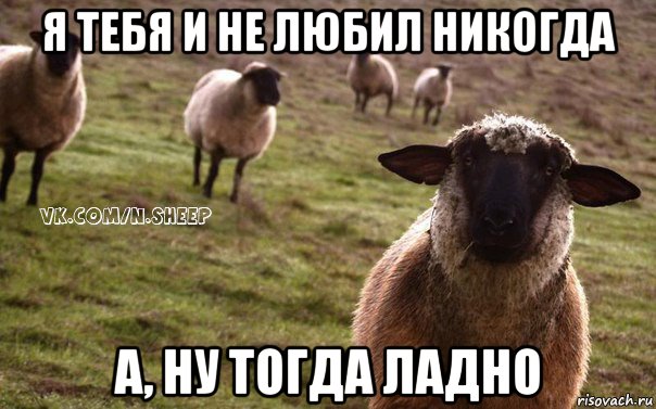 я тебя и не любил никогда а, ну тогда ладно