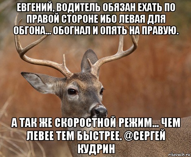 евгений, водитель обязан ехать по правой стороне ибо левая для обгона... обогнал и опять на правую. а так же скоростной режим... чем левее тем быстрее. @сергей кудрин, Мем  Наивный Олень v2