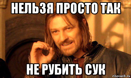 нельзя просто так не рубить сук, Мем Нельзя просто так взять и (Боромир мем)